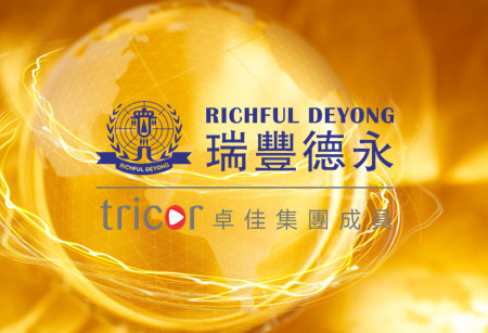 新加坡基金會的特點(diǎn)
